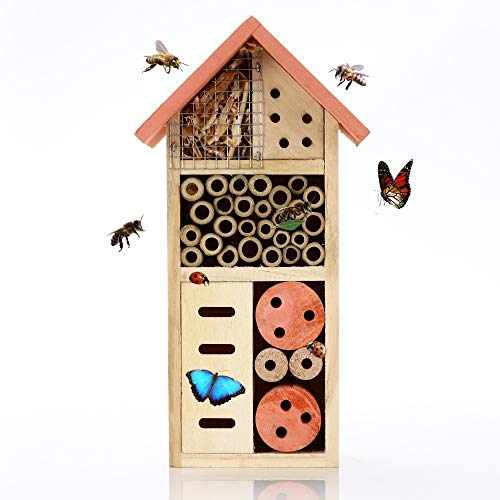Buddy Wild Insektenhotel - 13x8,5x26 cm Umweltfreundliches Insektenhaus für Schmetterlinge Marienkäfer im Garten - Kinderfreundliches Witterungsbeständiges Bienenhotel