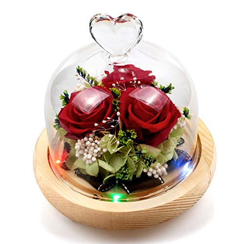 StillCool StillCool Ewige Rose, konservierte Rose, handgefertigte frische Blumenrose mit Herz-Design, ein Geschenk für Valentinstag, Muttertag, Weihnachten, Jahrestag, Geburts