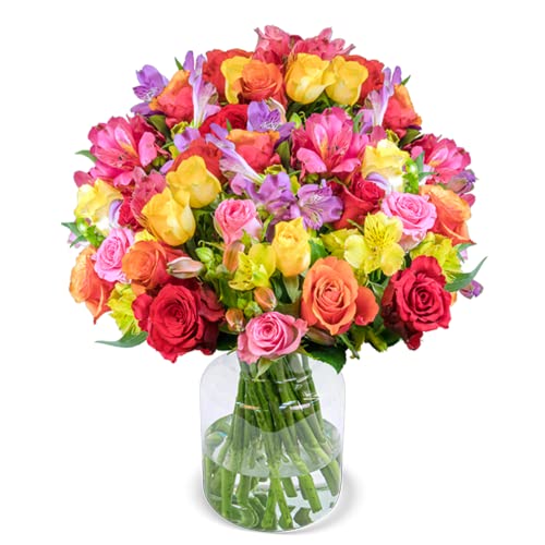 Rosenglück XXL mit 100 Blüten, Bunte Rosen und Inkalilien, 30 Stiele und 50 cm Länge, 7-Tage-Frischegarantie, Qualität vom Floristen, perfekte Geschenkidee bestellen