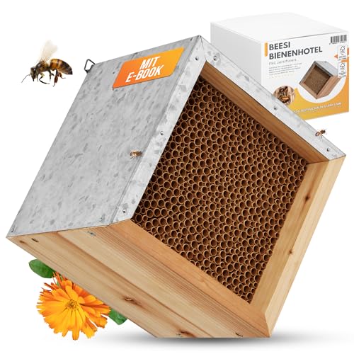 BEESI Bienenhotel mit Metalldach I 600 Nisthülsen aus Pappe 6 & 8 mm Ø I Insektenhotel zum hängen I Wildbienenhotel stabile Aufhängung I + E-Book