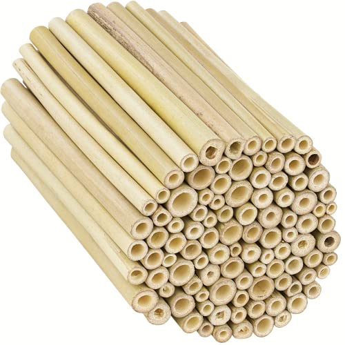 Bambusröhrchen für Insektenhotel I 100 Stück I 14 cm Länge I Bambus für Bienenhotel I Füllmaterial Wildbienen Zubehör