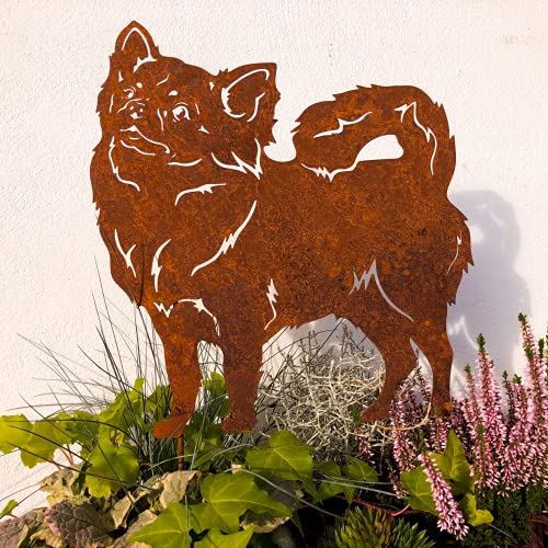 Terma Stahldesign Gartenstecker Edelrost Hund Langhaar Chihuahua, Handmade Germany, tolle gartendeko aus Rost-Metall, deko rostoptik, Rostfiguren Tiere,
